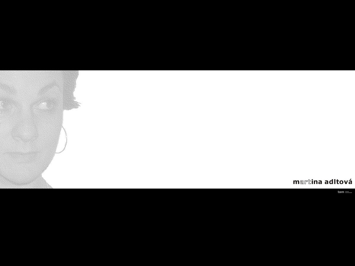 Náhled projektu Malířka Martina Adltová  - Úvodní stránka